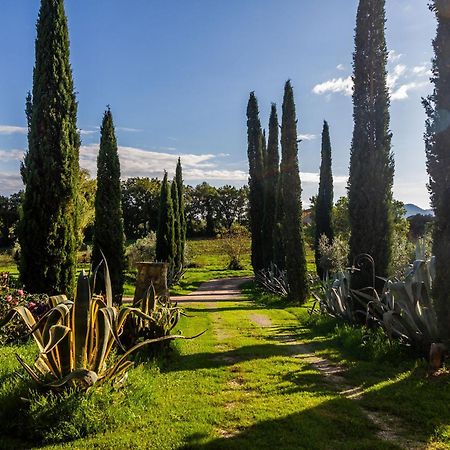 גאבוראנו Agriturismo Bio Fattoria Casetta מראה חיצוני תמונה