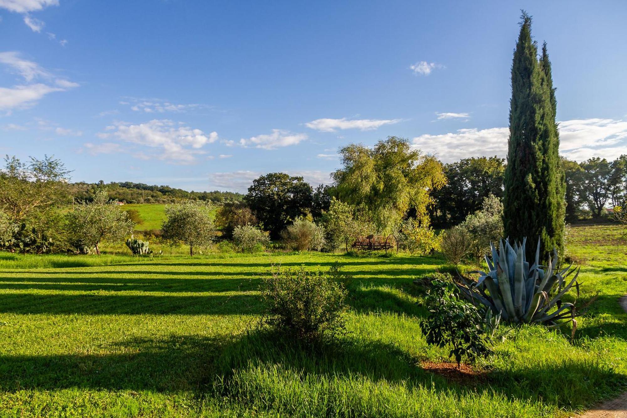 גאבוראנו Agriturismo Bio Fattoria Casetta מראה חיצוני תמונה