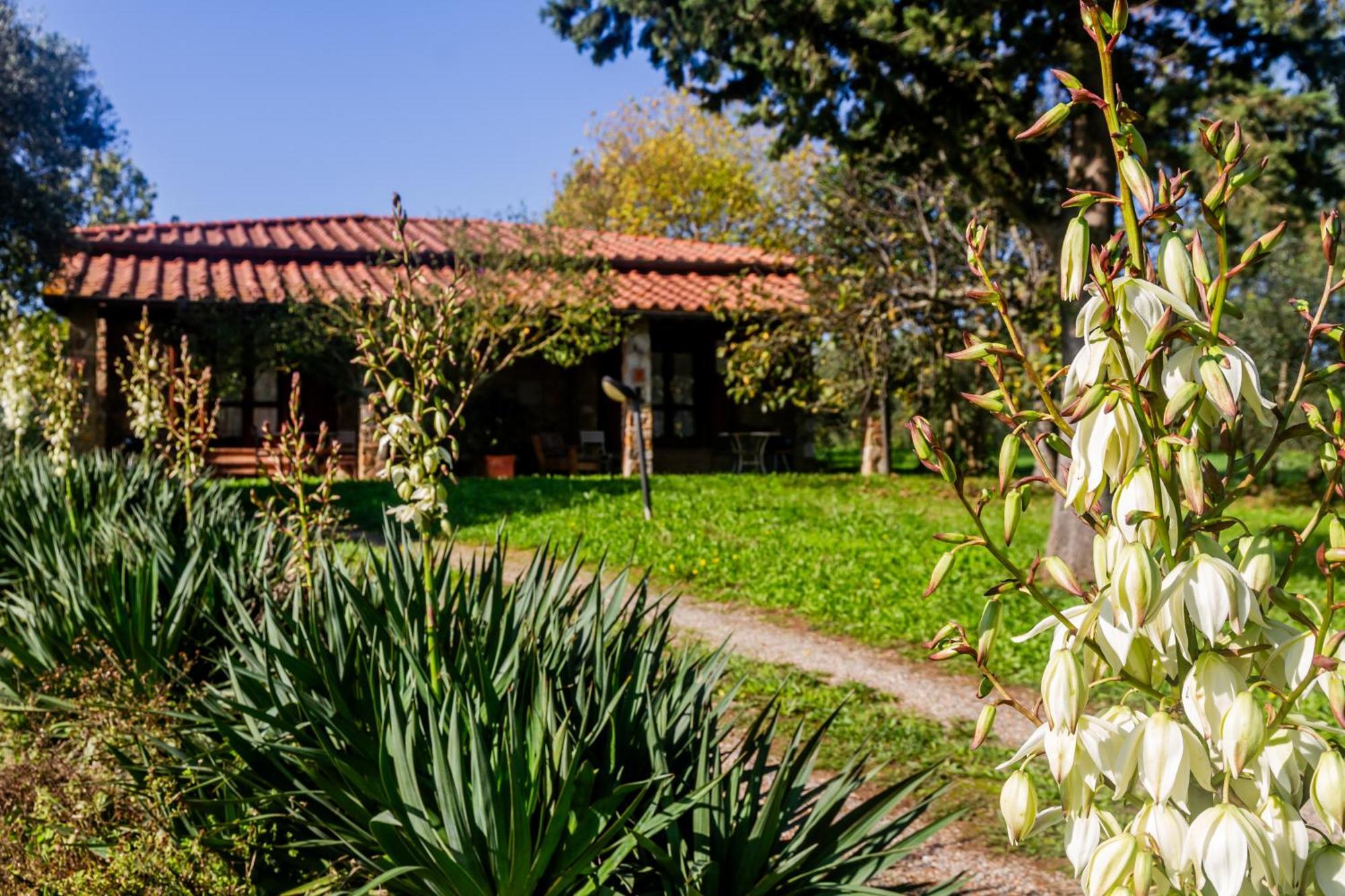 גאבוראנו Agriturismo Bio Fattoria Casetta מראה חיצוני תמונה