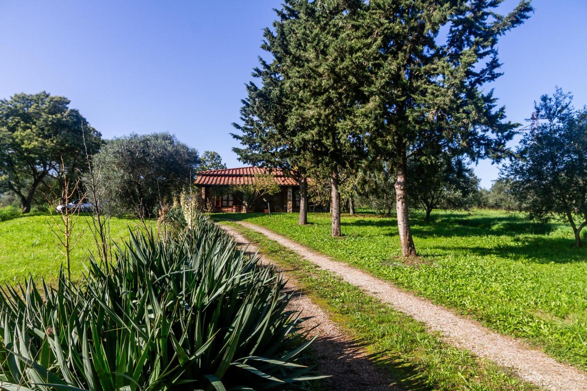 גאבוראנו Agriturismo Bio Fattoria Casetta מראה חיצוני תמונה